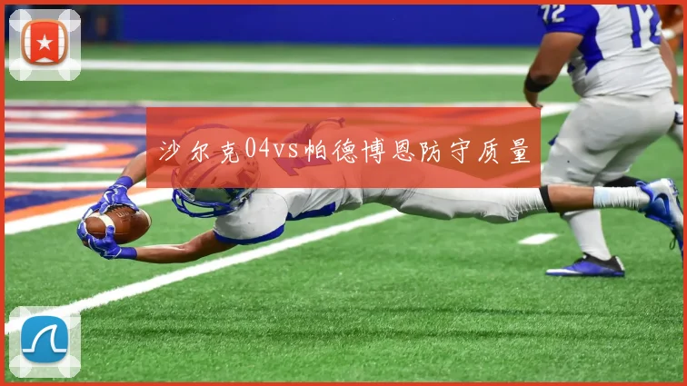 沙尔克04vs帕德博恩防守质量