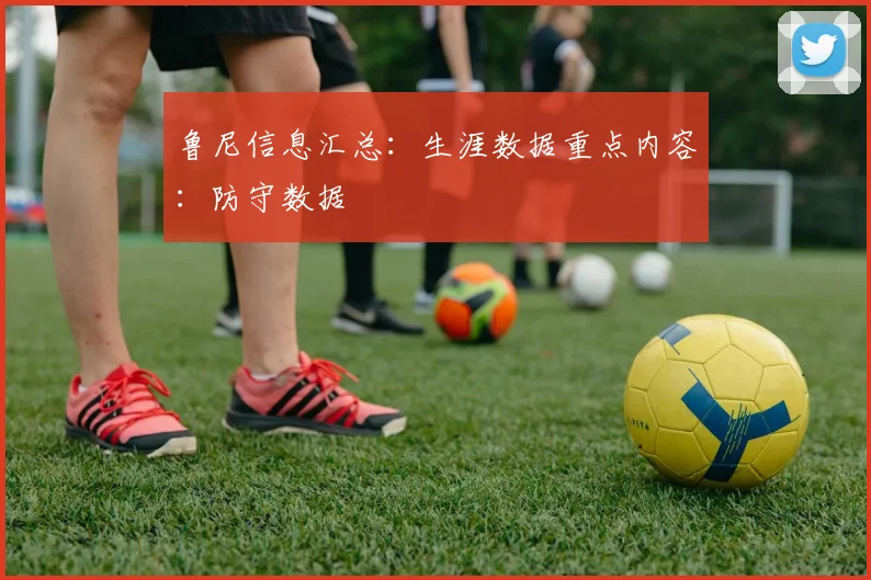 鲁尼信息汇总:生涯数据重点内容:防守数据